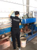 Gương phòng tắm nghệ thuật Spider-Gold