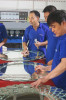 Gương phòng tắm Hansa